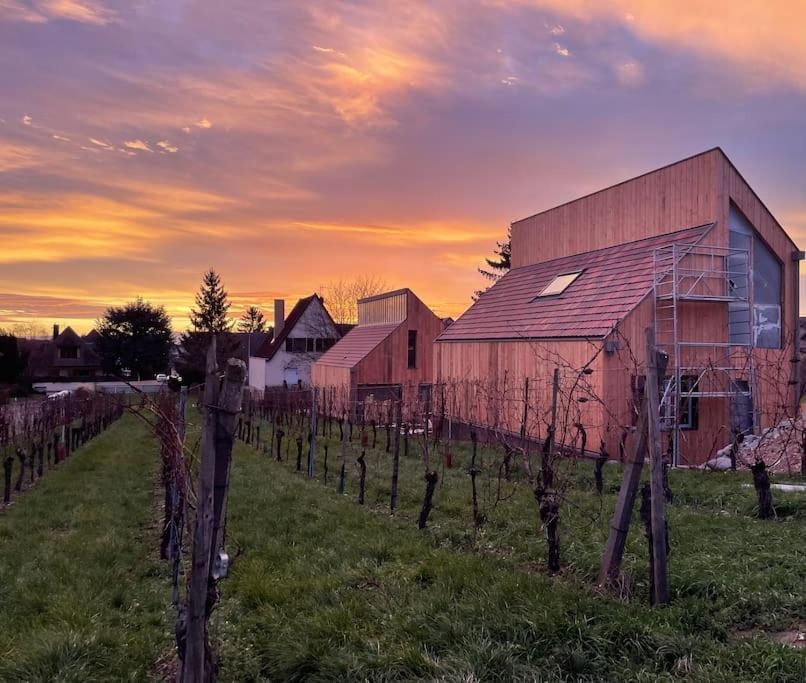 Le Cepage, Au Coeur Des Vignes. Villa Eguisheim Eksteriør billede