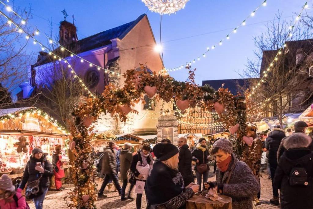 Le Cepage, Au Coeur Des Vignes. Villa Eguisheim Eksteriør billede